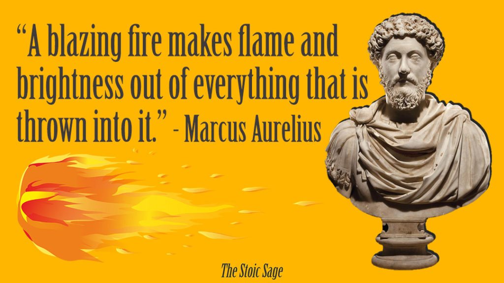 “A blazing fire makes flame and brightness out of everything that is thrown into it.” - Marcus Aurelius